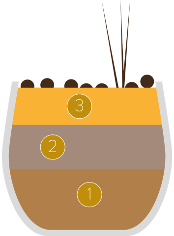 Delizia estiva di mango e cioccolato
