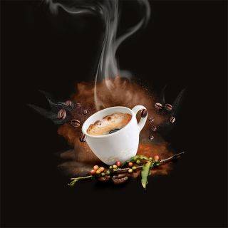 Caprimo Organic Coffee