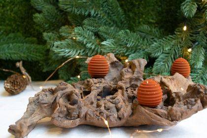 CARMA® Haselnuss  und Zimt Tannenzapfen Bonbon