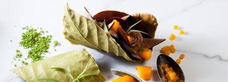 La hoja