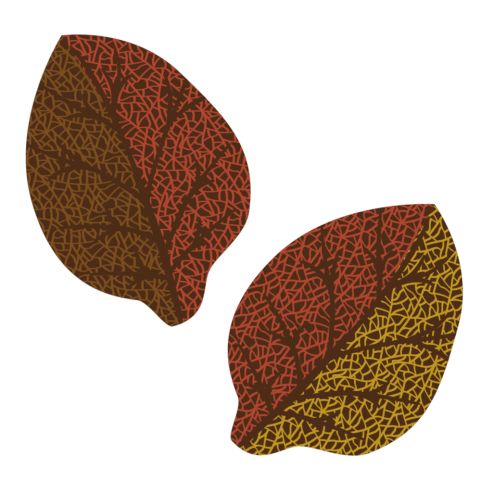 F031560