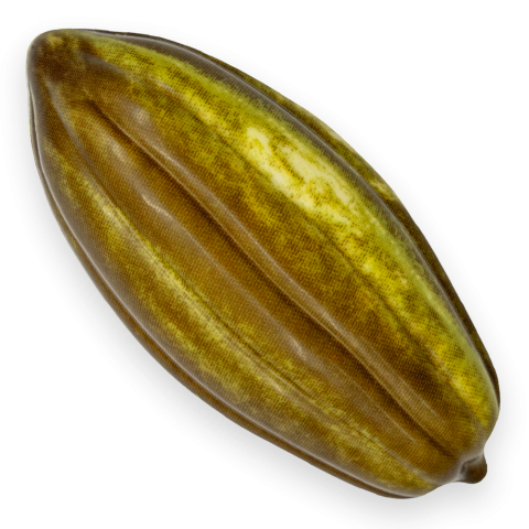 Natural Cocoa Pod Green - Chocolate Decorations - Cups - 12 pcs