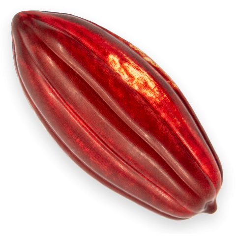 Natural Cocoa Pod Red - Chocolate Decorations - Cups - 12 pcs