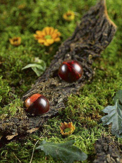 Dark Lesuk Raspberry Bonbon