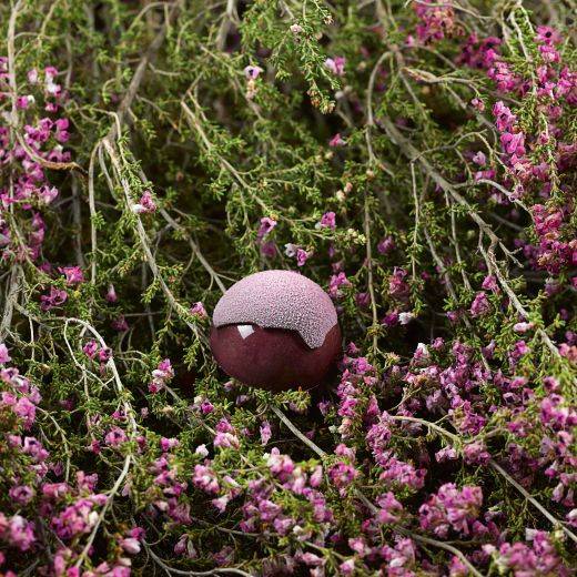 Dark Lesuk Port Wine Bonbon