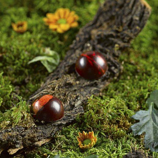 Dark Lesuk Raspberry Bonbon