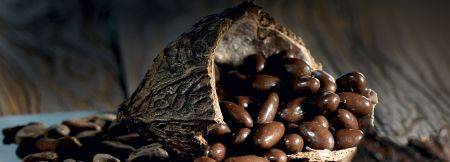 Roasted almonds with sea salt and milky dark chocolate