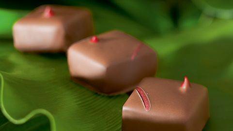 Bonbon Tea Time