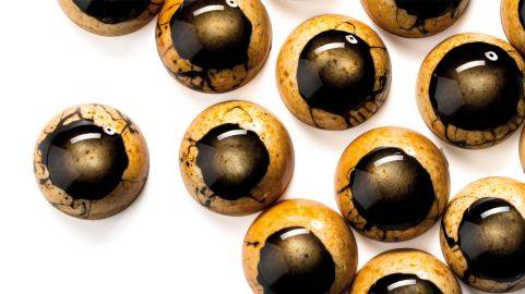 Caramel, vanilla and soy sauce bonbon