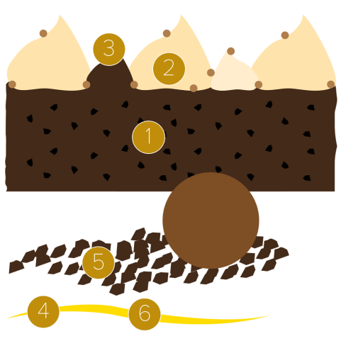 Brownie, potiron et vanille