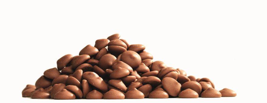Signature Milk Chocolate 12.5kg Coins